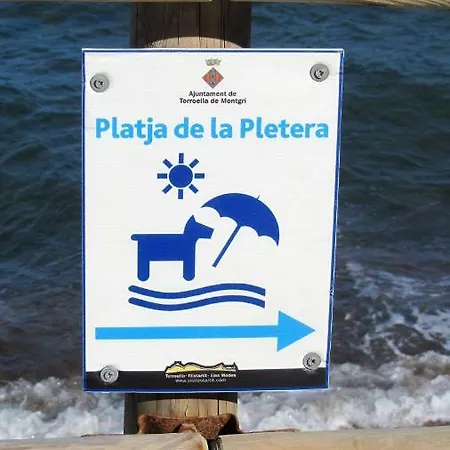 Blue L'Estartit